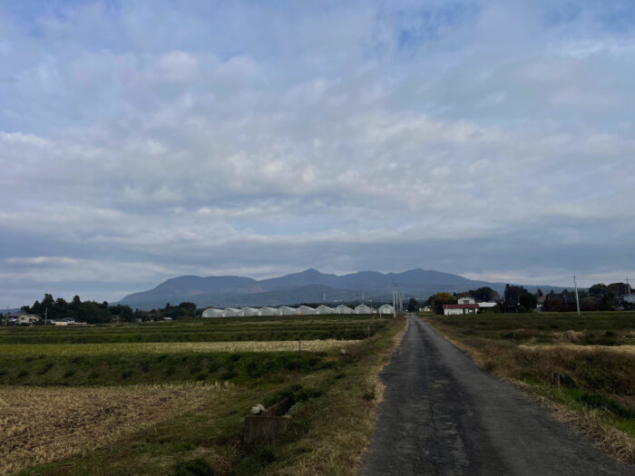 11月7日(月)　AM 7:59　前橋市苗ケ島町