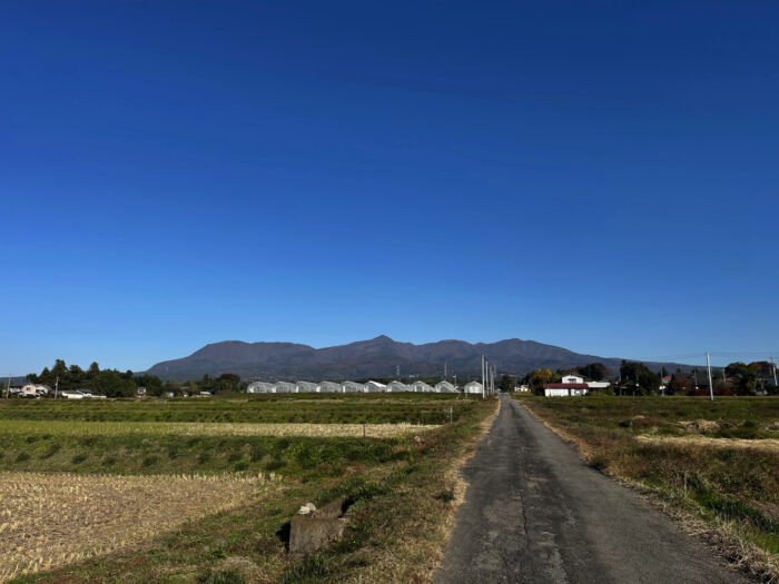 11月9日(水)　AM 8:47　前橋市苗ケ島町