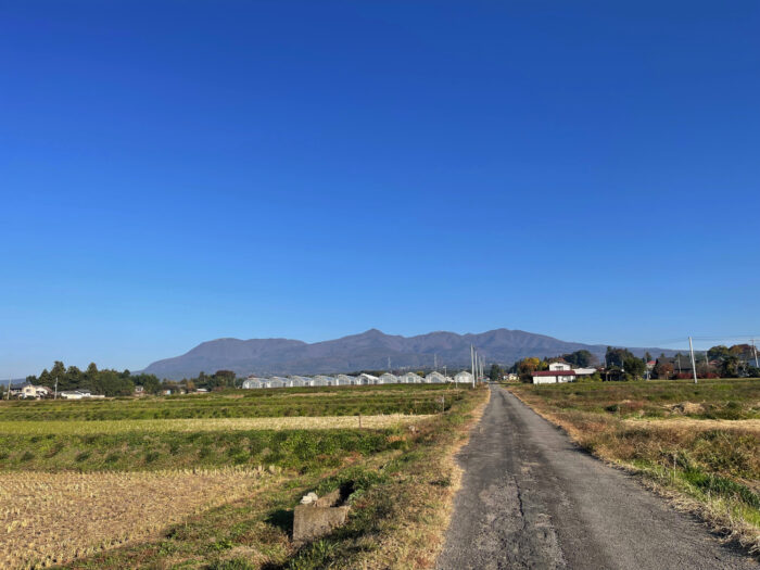 11月10日(木)　AM 8:04　前橋市苗ケ島町