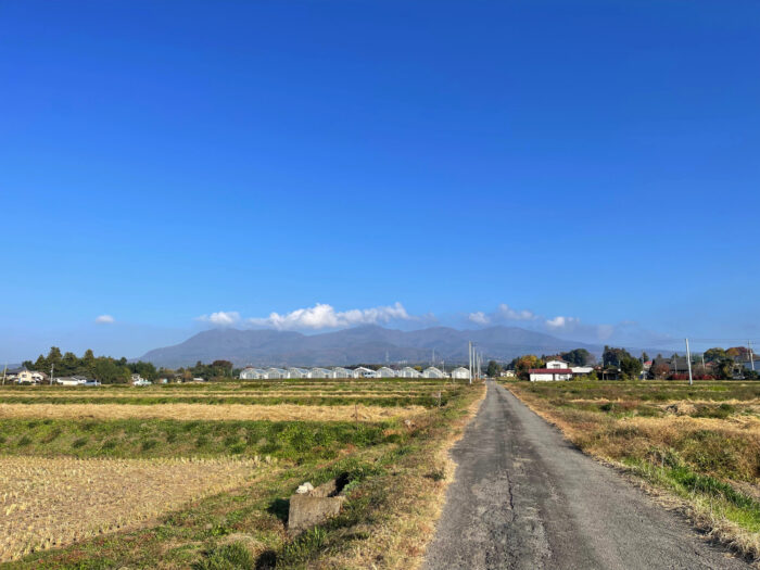 11月12日(土) AM 8:16 前橋市苗ケ島町