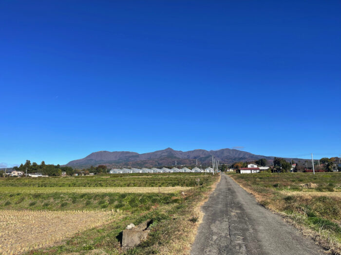 11月14日(月)　AM 8:39　前橋市苗ケ島町