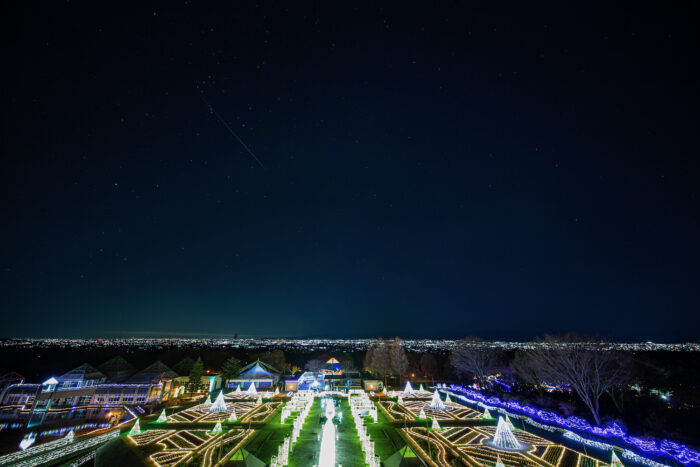 ぐんまフラワーパークのイルミネーションと流星