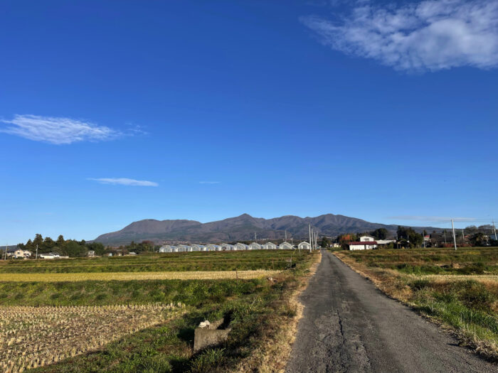 12月4日(日)　AM 8:08　前橋市苗ケ島町