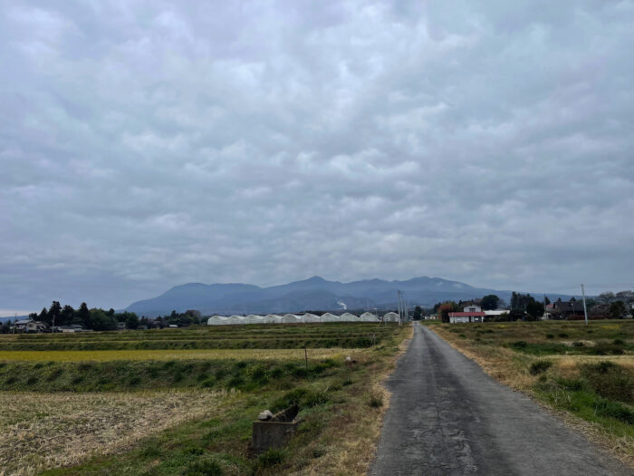12月5日(月)　PM 1:04　前橋市苗ケ島町