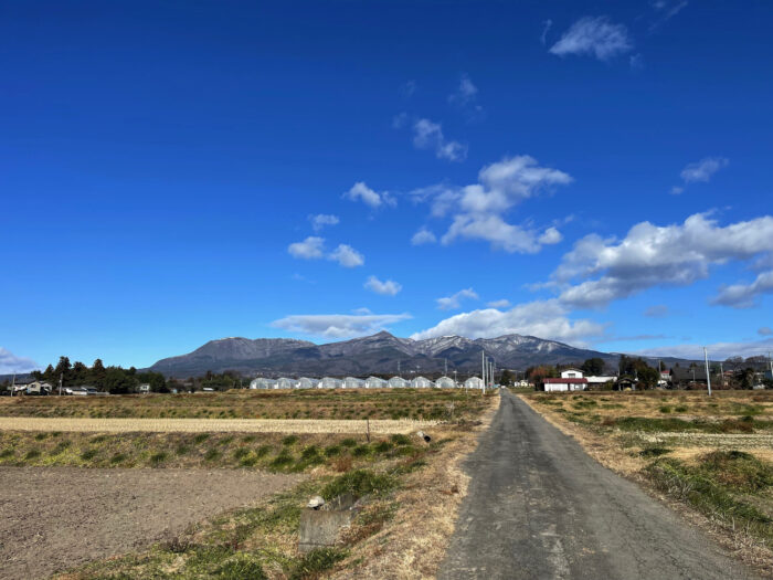 12月31日(土)　AM 10:31　前橋市苗ケ島町