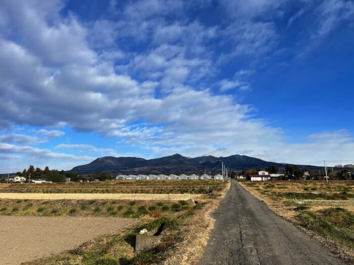 1月4日(水)　AM 8:34　前橋市苗ケ島町