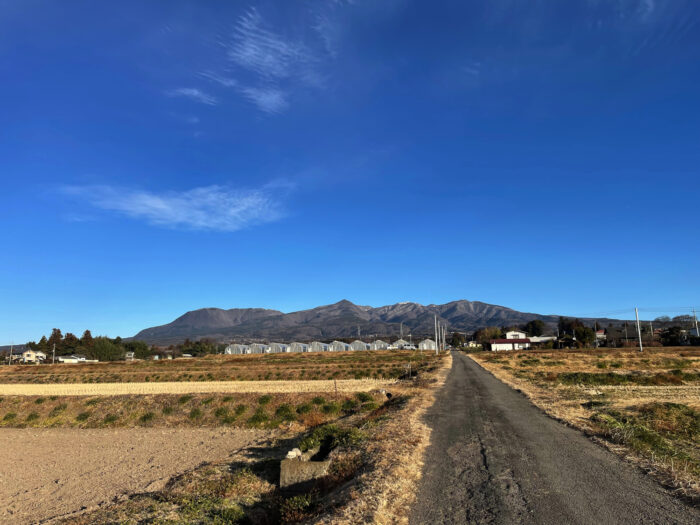 1月12日(木) AM 8:08 前橋市苗ケ島町