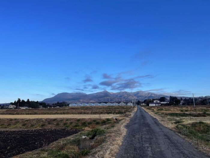 1月15日(日)　AM 8:09　前橋市苗ケ島町