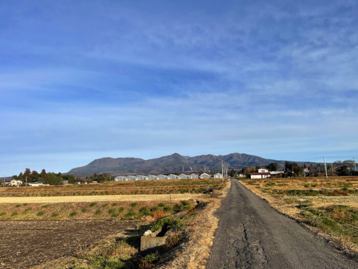 1月17日(火)　AM 8:09　前橋市苗ケ島町