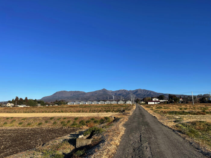 1月19日(木)　AM 8:13　前橋市苗ケ島町