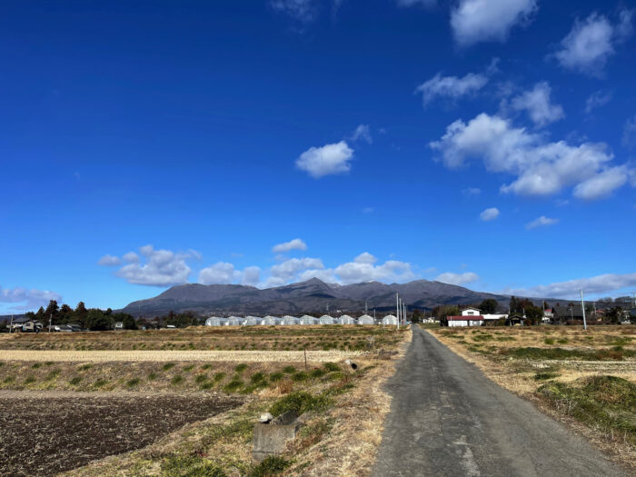 1月21日(土)　AM 11:09　前橋市苗ケ島町