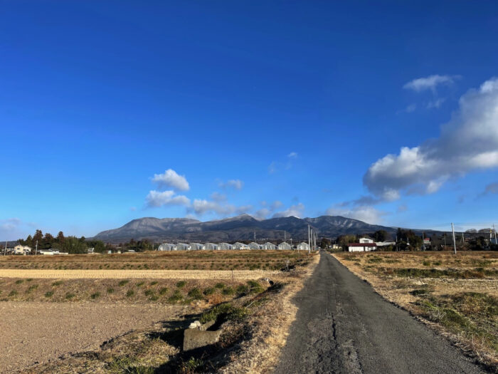 1月31日(火)　AM 8:03　前橋市苗ケ島町