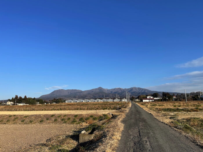 2月1日(水)　AM 8:11　前橋市苗ケ島町