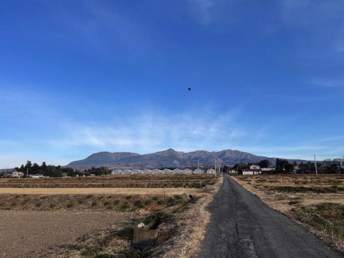 2月3日(金)　AM 8:01　前橋市苗ケ島町