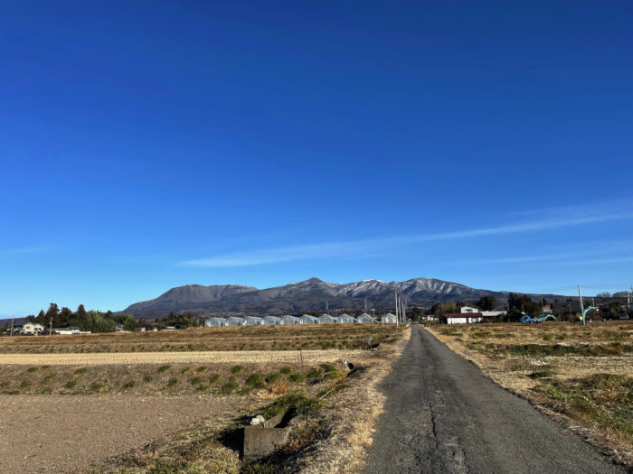 2月16日(木)　AM 8:15　前橋市苗ケ島町