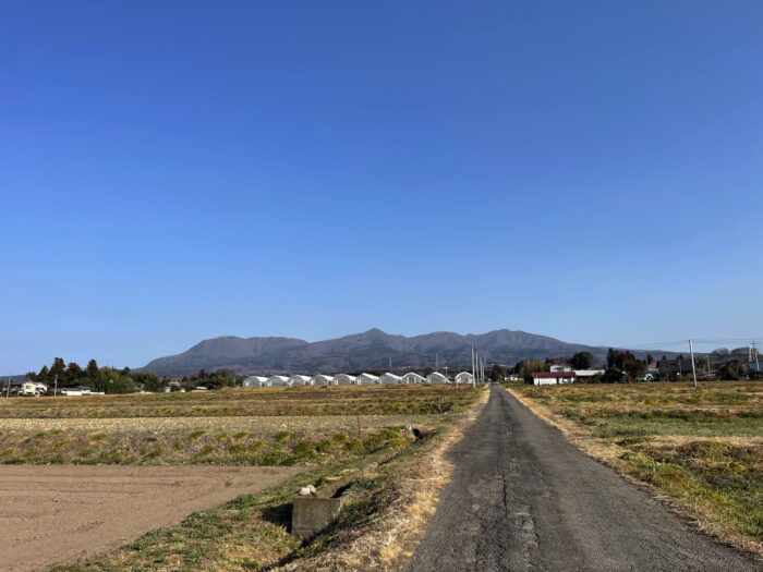 3月11日(土) AM 8:06 前橋市苗ケ島町