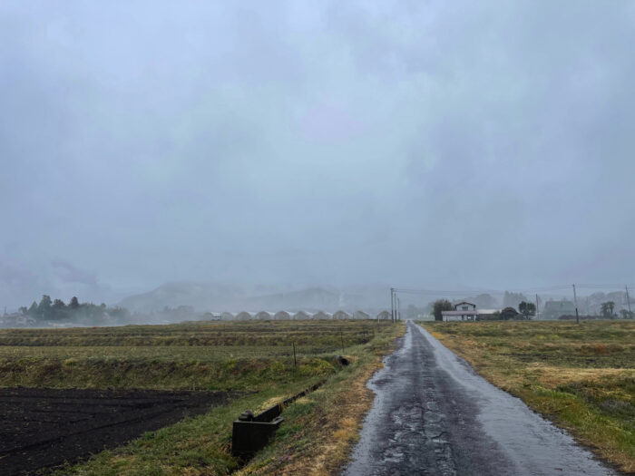 3月18日(土)　AM 8:59　前橋市苗ケ島町