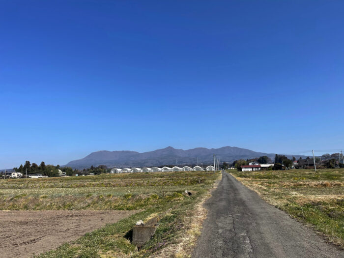 3月22日(水)　AM 8:49　前橋市苗ケ島町