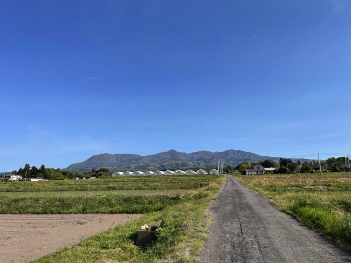 4月23日(日) AM 7:36 前橋市苗ケ島町