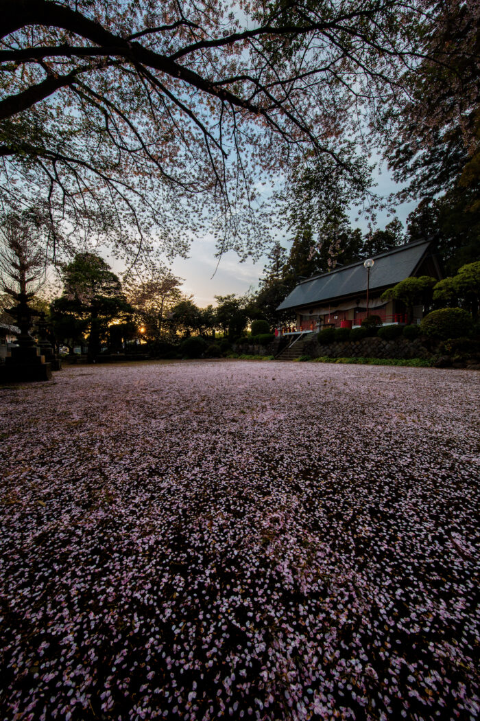 苗ケ島神社（前橋市苗ケ島町）