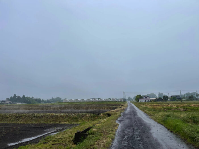 4月30日(日) AM 9:43 前橋市苗ケ島町