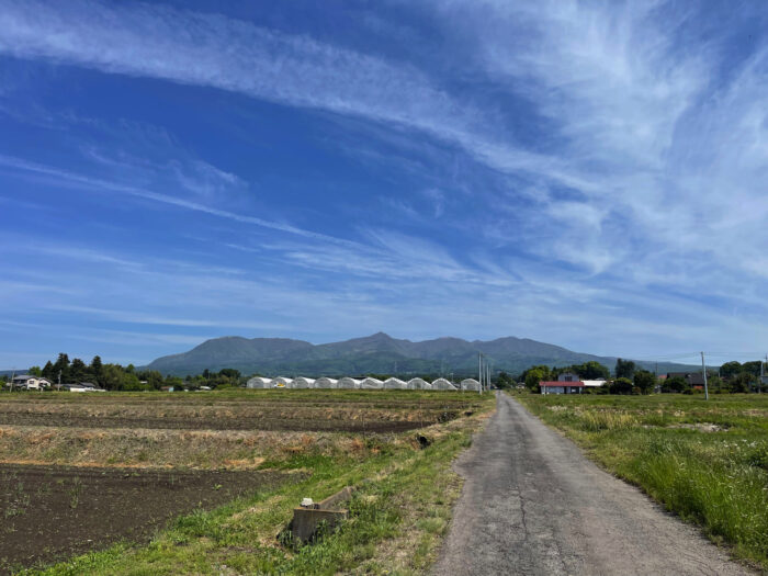 5月9日(火)　AM 9:06　前橋市苗ケ島町