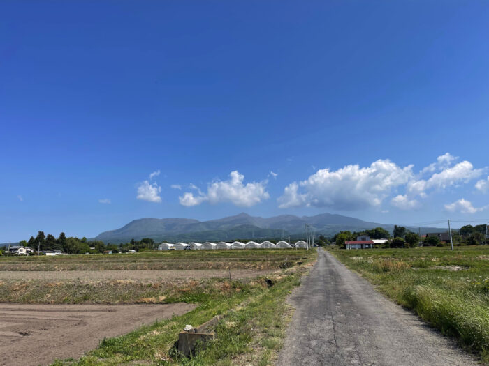 5月11日(木)　AM 9：04 　前橋市苗ケ島町