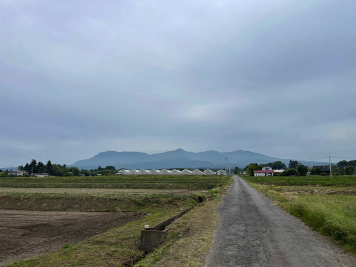 5月19日(金)　AM 9:35　前橋市苗ケ島町