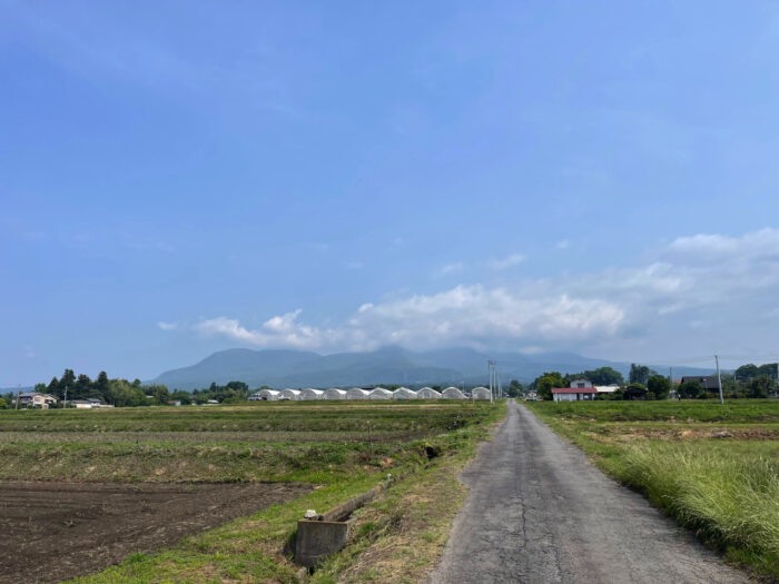 5月22日(月)　AM 9:01　前橋市苗ケ島町