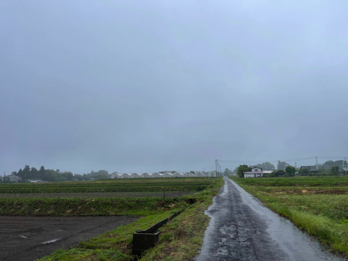 5月23日(火)　AM 8:31　前橋市苗ケ島町