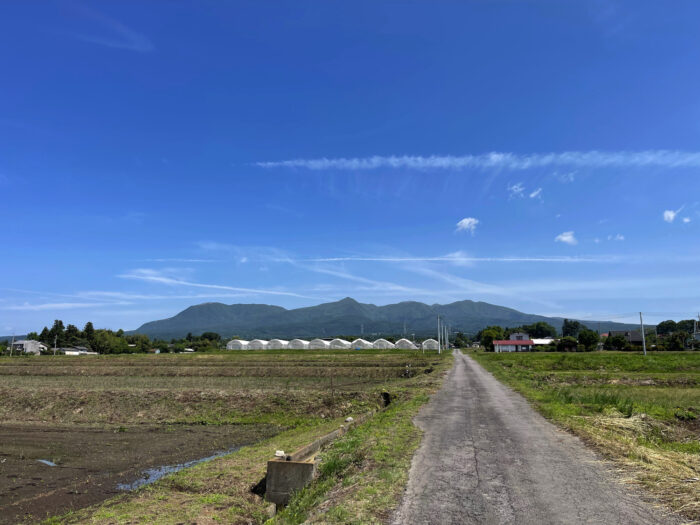 5月30日(火)　AM 9:21　前橋市苗ケ島町