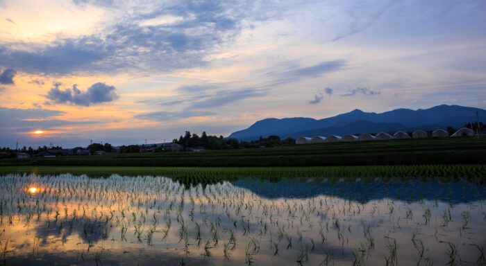 6月7日(水)の夕焼け