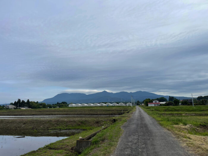 6月1日(木)　AM 7:03　前橋市苗ケ島町