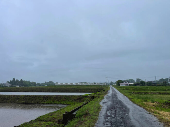 6月2日(金)　AM 9:54　前橋市苗ケ島町