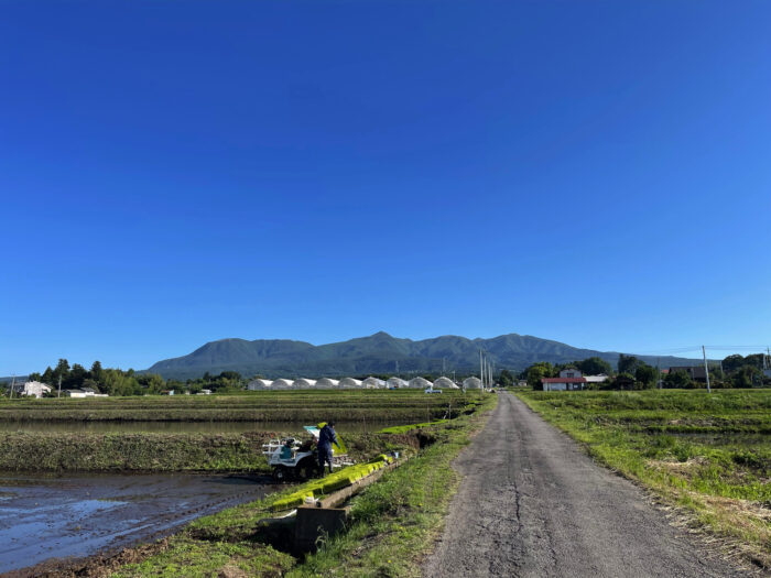 6月4日(日)　AM 7:01　前橋市苗ケ島町