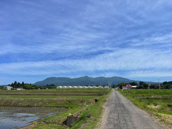 6月5日(月)　AM 8:57　前橋市苗ケ島町