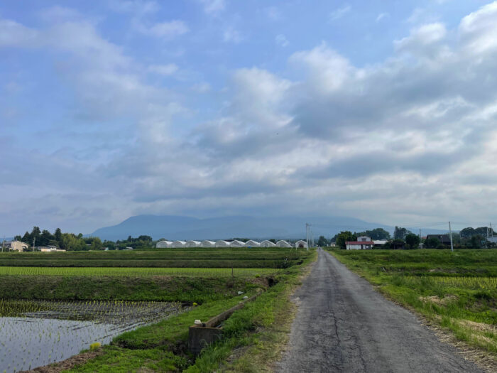 6月8日(木)　AM 6:43　前橋市苗ケ島町