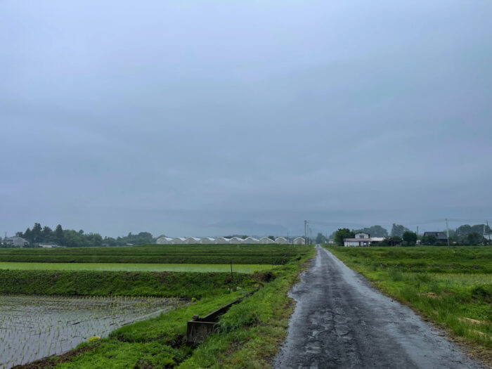 6月11日(日)　AM 6:52　前橋市苗ケ島町