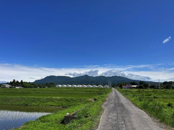6月16日(金)　AM 9:20　前橋市苗ケ島町