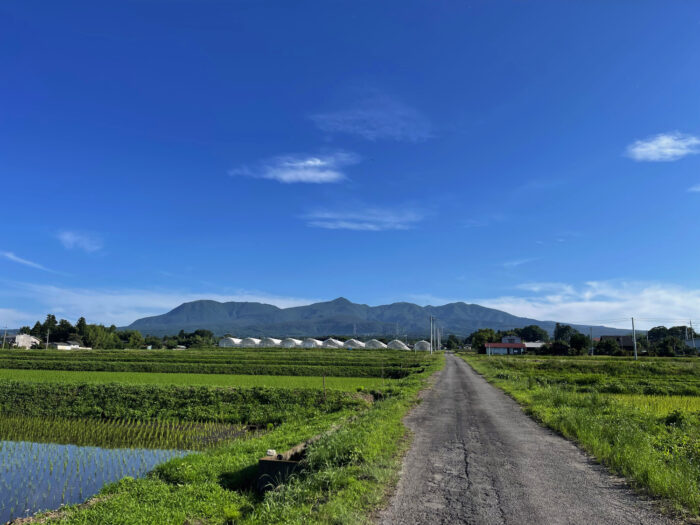 6月17日(土)　AM 6:57　前橋市苗ケ島町