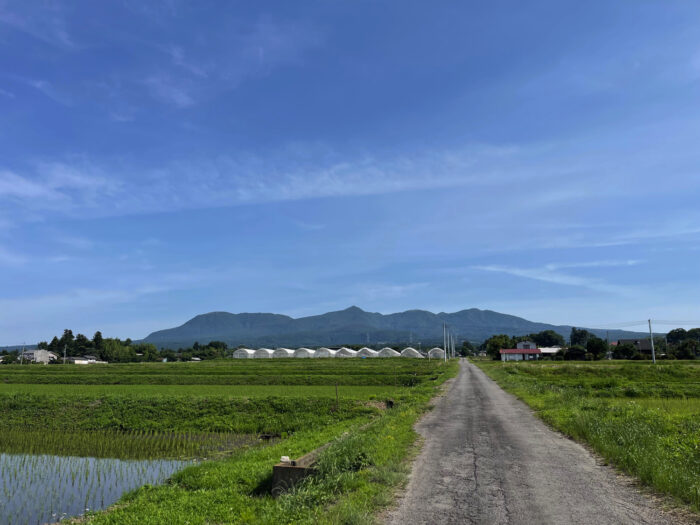 6月18日(日)　AM 8:28　前橋市苗ケ島町