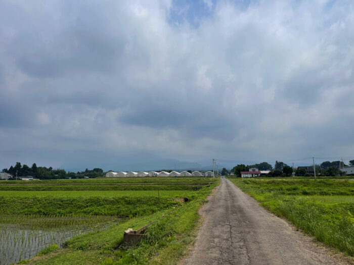 6月19日(月)　AM 9:15　前橋市苗ケ島町