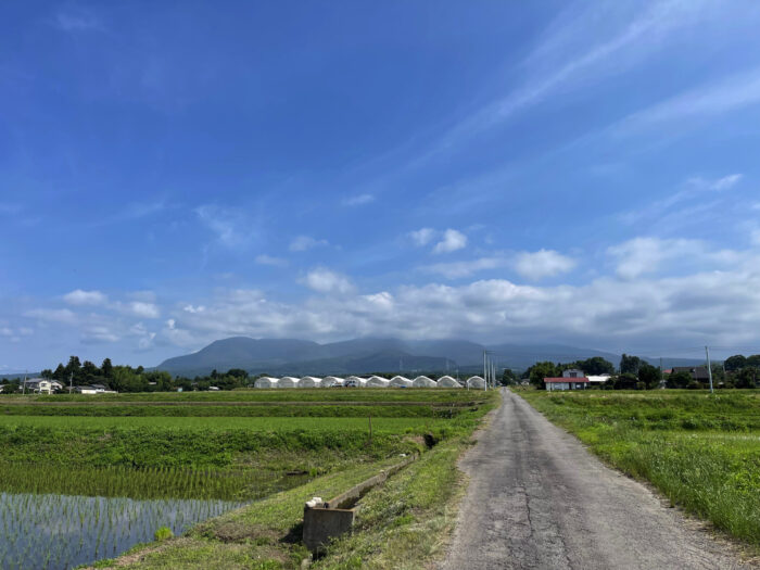 6月20日(火)　AM 8:53　前橋市苗ケ島町