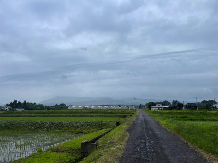 6月22日(木)　AM 7:06　前橋市苗ケ島町