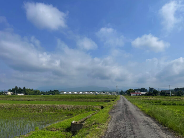 6月25日(日)　AM 8:16　前橋市苗ケ島町