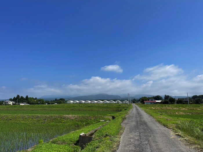 6月29日(木)　AM 9:21　前橋市苗ケ島町