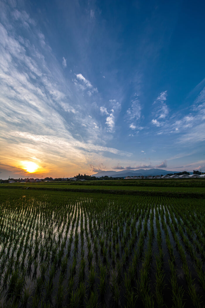 6月29日(木)の夕焼け