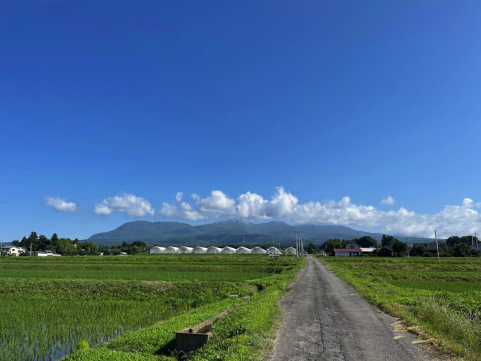 7月2日(日)　AM 8:09　前橋市苗ケ島町