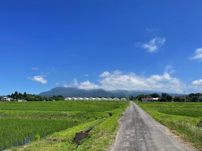 7月6日(木) AM 9:55 前橋市苗ケ島町