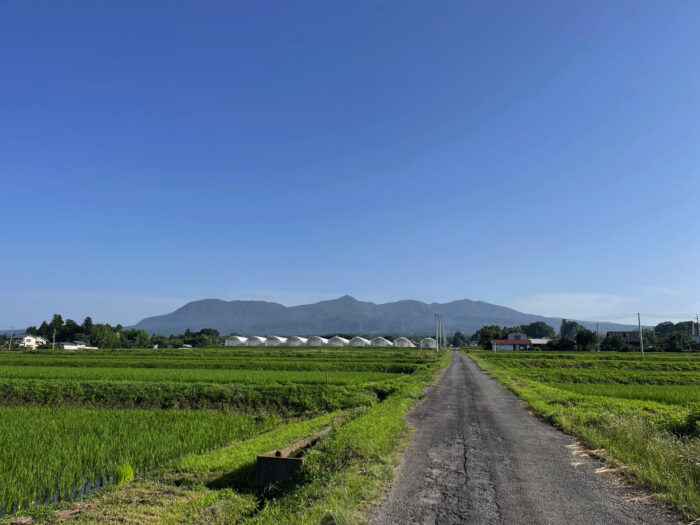 7月7日(金)　AM 7:06　前橋市苗ケ島町
